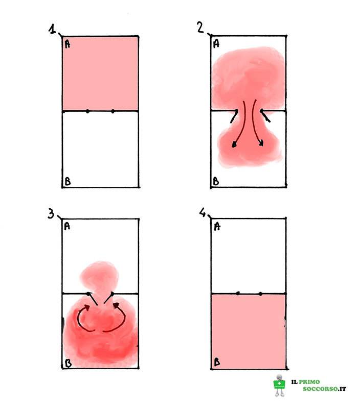 Funzionamento delle valvole cardiache